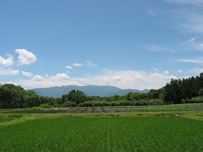 夏の那須はあっち～じょ～～(~_~;)