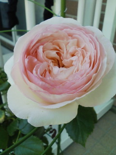 2008-06-10 10:10:55