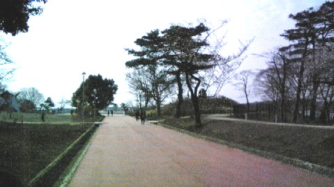 09040509.JPG