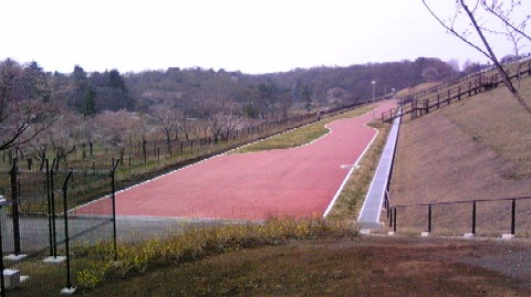 09040512.JPG