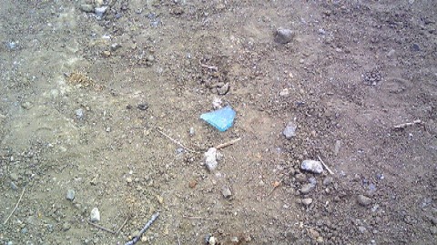 09040517.JPG