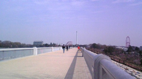 09040504.JPG