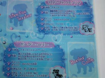 ワンタメ コンプリパピブック発売～！ | かりんママの広く浅く