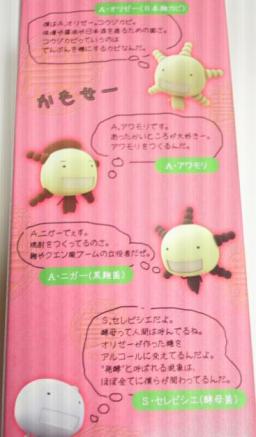 外箱　後ろ