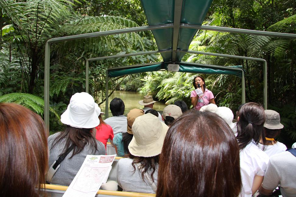 熱帯雨林のツアー１