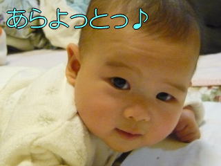 071220d.jpg
