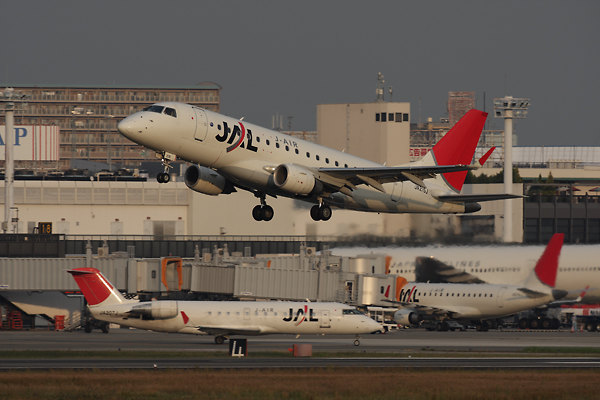 3G9T8259.jpg