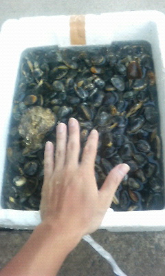 P1000011.JPG