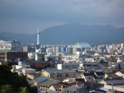 悲田院からの景色