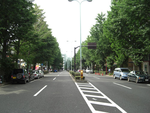 プラチナ通りの初夏