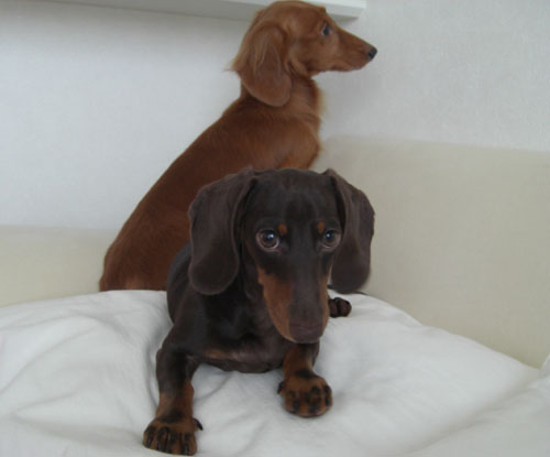 目を合わせないようにしよーっと