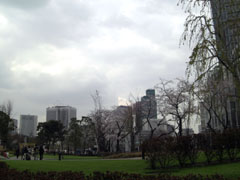 2008.4ミッドタウン (2)