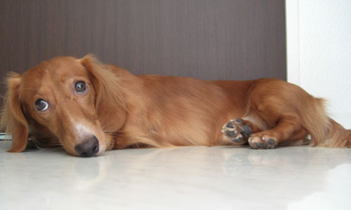 見たかったな～