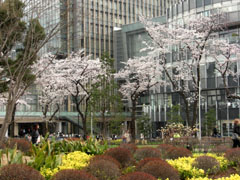 2008.4ミッドタウン(3)