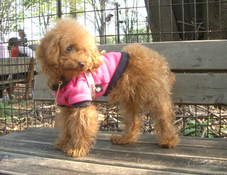 しおかぜ公園にて