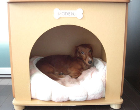 掃除機こわいヨ～