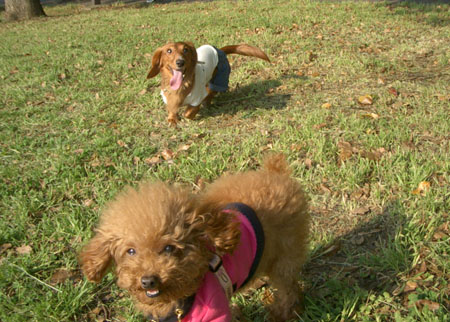 しおかぜ公園にて２