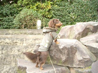 キッド君崖っぷち？