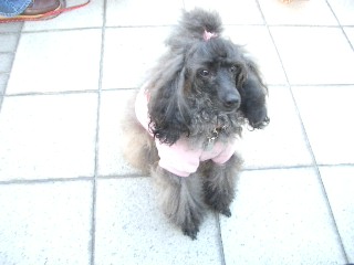 アリちゃんオニュウ