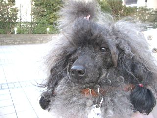 アリちゃんアップ