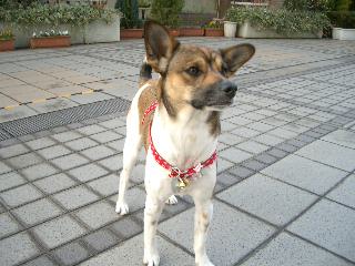 今年初のはだかのナッちゃん