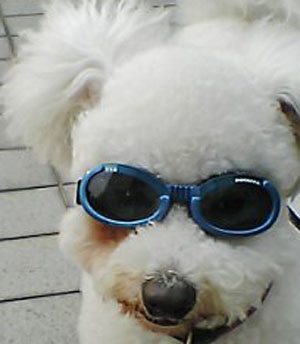 レタスちゃんのゴーグル２