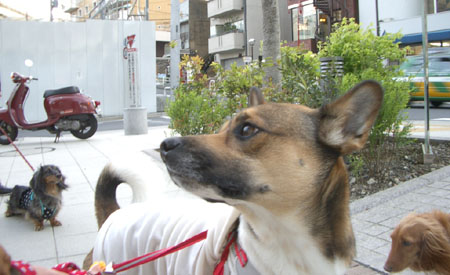 ナッちゃん邸訪問