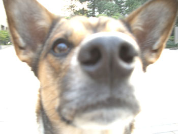 なっちゃんドアップ