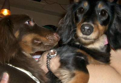 すしパーティー８