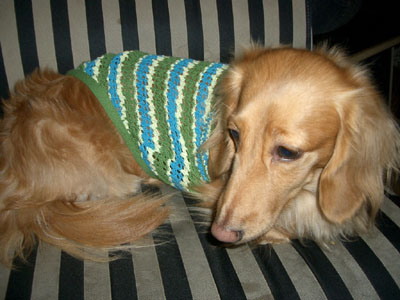 すしパーティー９