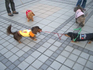 モモちゃんの逆襲