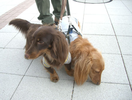 ナッちゃん邸訪問２