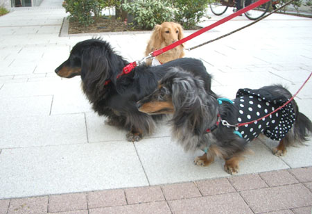 ナッちゃん邸訪問３