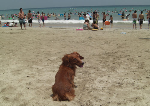 海水浴初めてなんだ