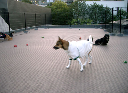 ナッちゃん邸訪問４