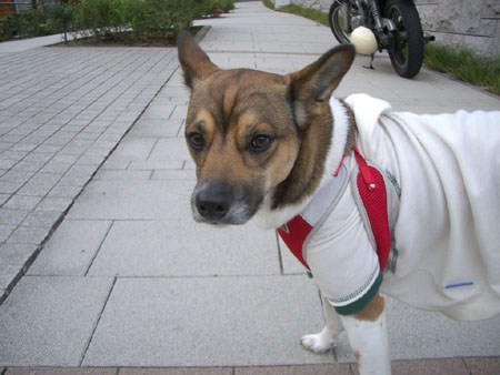 ナッちゃん邸訪問５