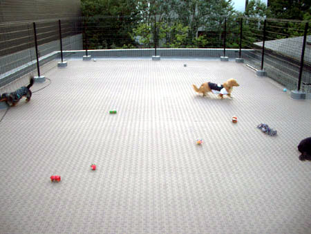 ナッちゃん邸訪問７