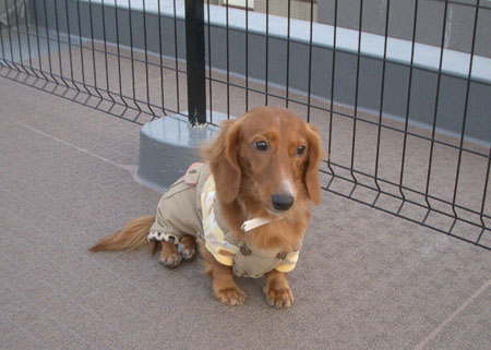 ナッちゃん邸訪問９