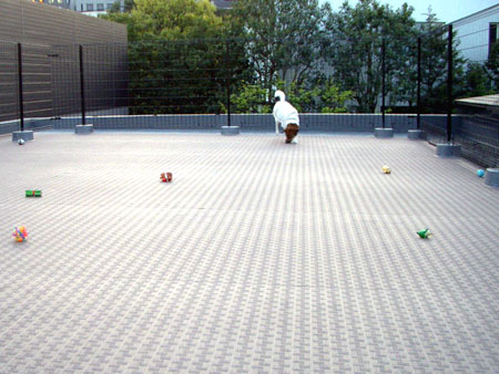 ナッちゃん邸訪問１０