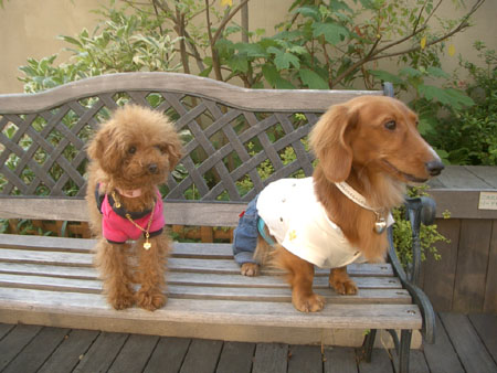 三越ジョーカー