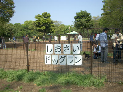 しおさいドッグラン