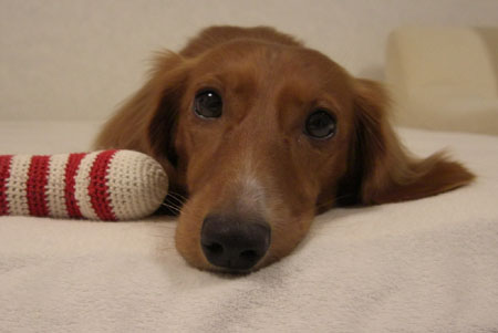 初デジカメエクシルム