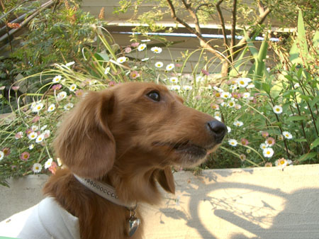 三越ジョーカー２