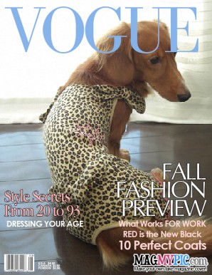 王子モデルデビュー