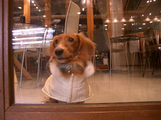 コルドシュールシエルにて