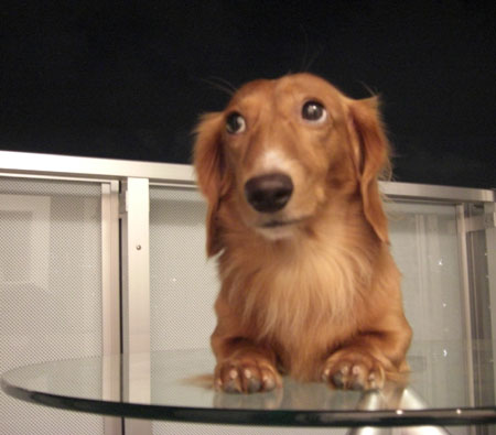 「た～まや～っ」