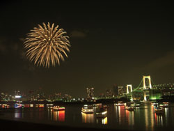 お台場冬花火（３）