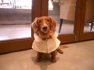 コルドシュールシエルにて２