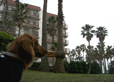 2007春逗子マリーナ２