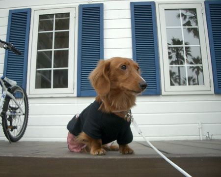 2007春逗子マリーナ3